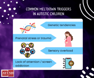 meltdown-triggers-autistic-children